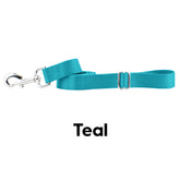 Teal Nylon Dog Leash